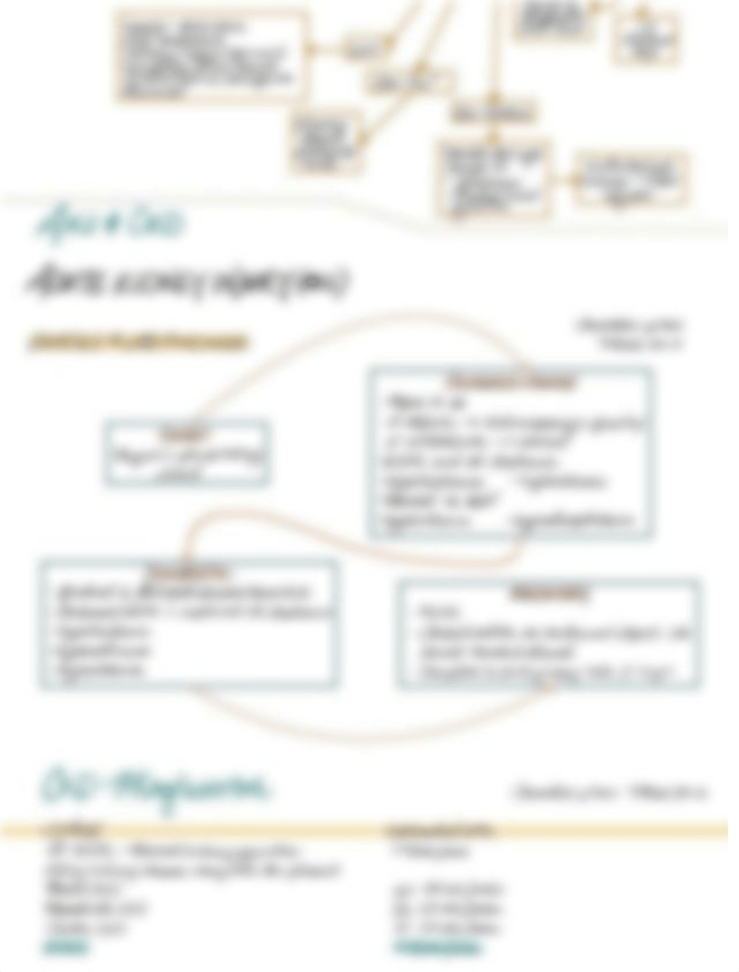 AKI vs CKD Concept Map.pdf_daz4c3q1kte_page3