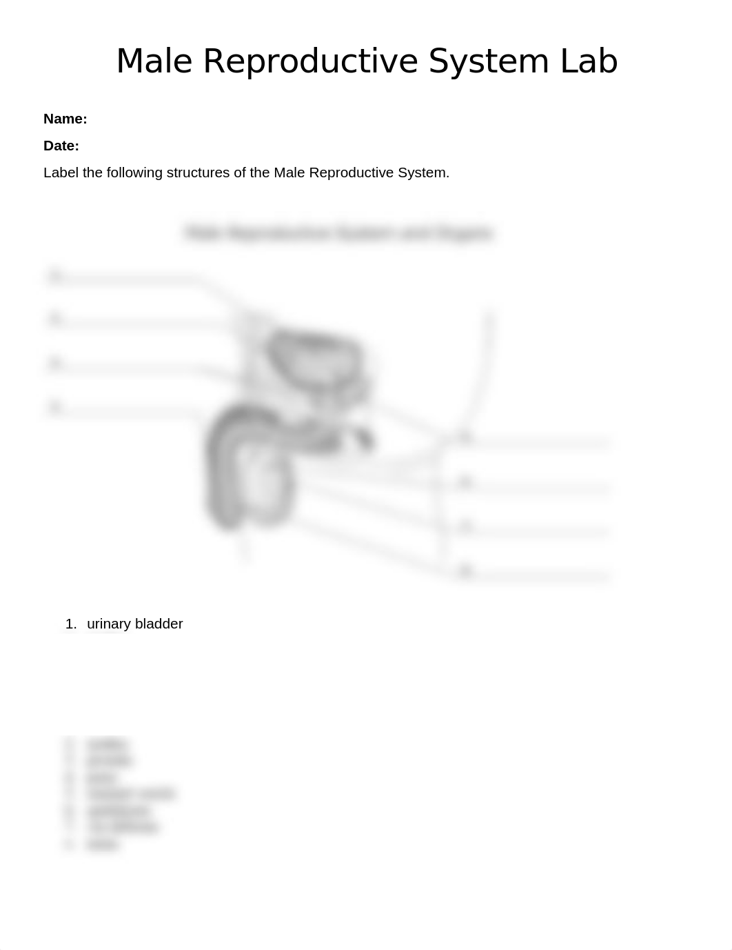 D. Davis Lab Male Reproductive System.docx_daz7hozy87s_page1