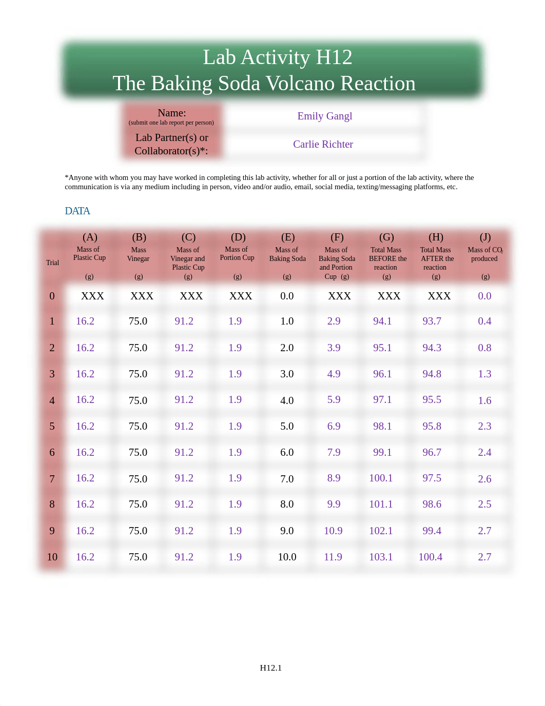 Lab H12.docx_dazff8rant7_page1