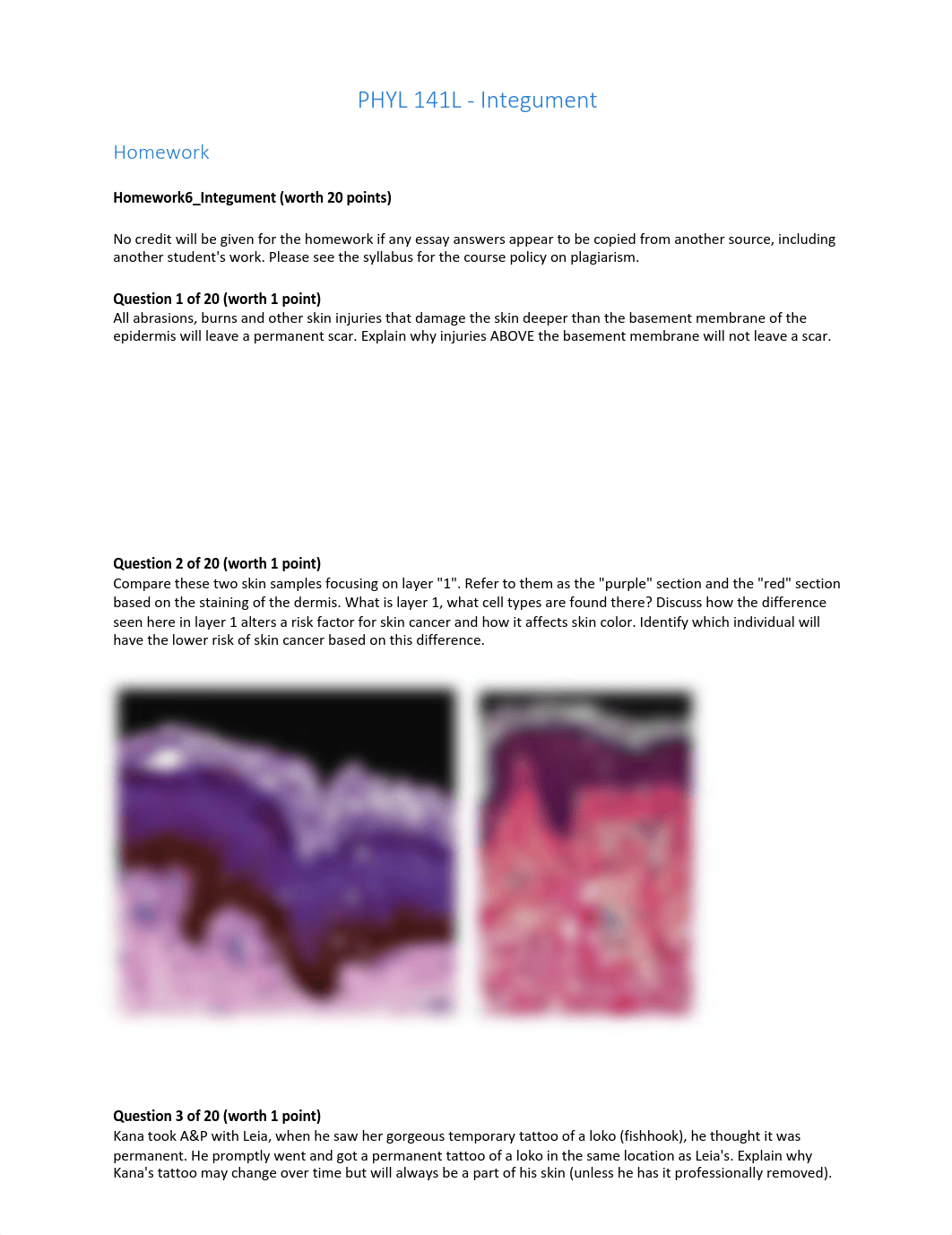 6_Integument_V3.pdf_dazk7vytb8g_page1