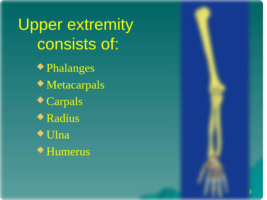 2 Upper Limb ppt.pptx_dazljz0p33c_page3