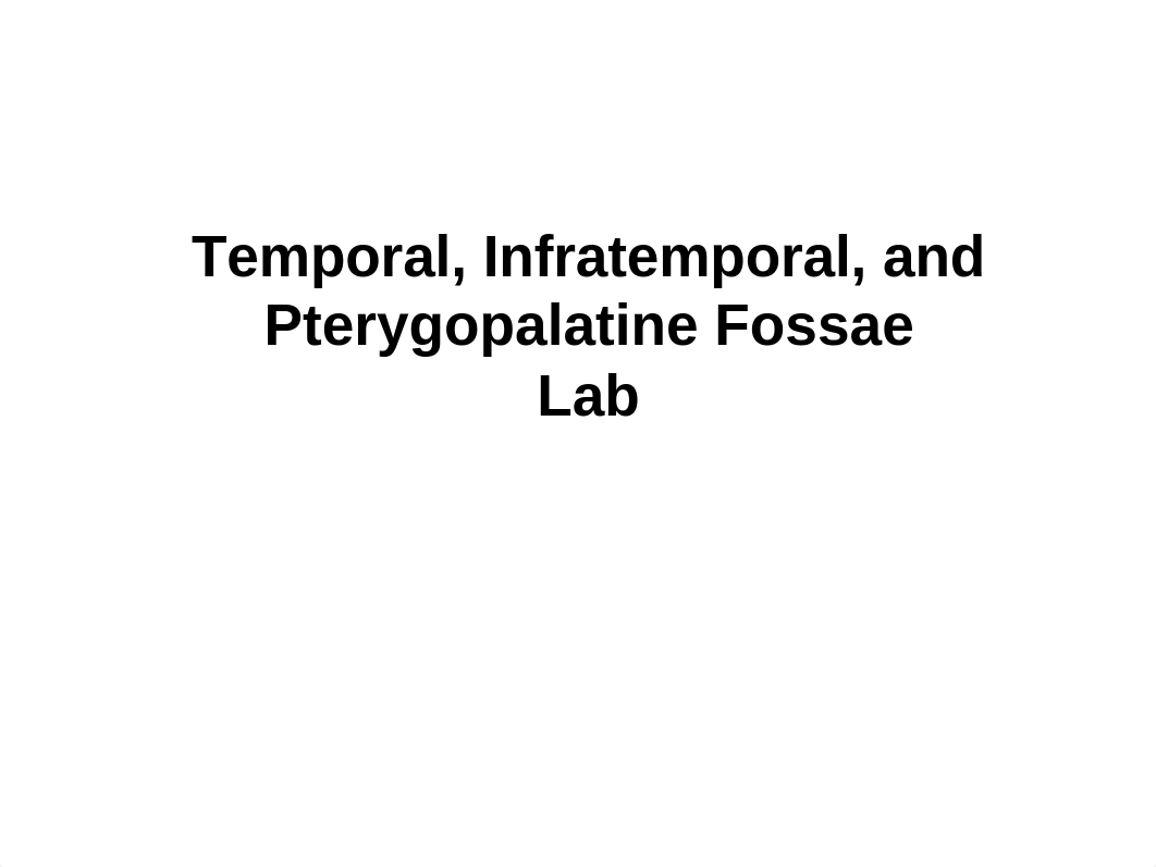 Lab_Temporal Infratemporal Pterygopalatine_daztkjqroeb_page1