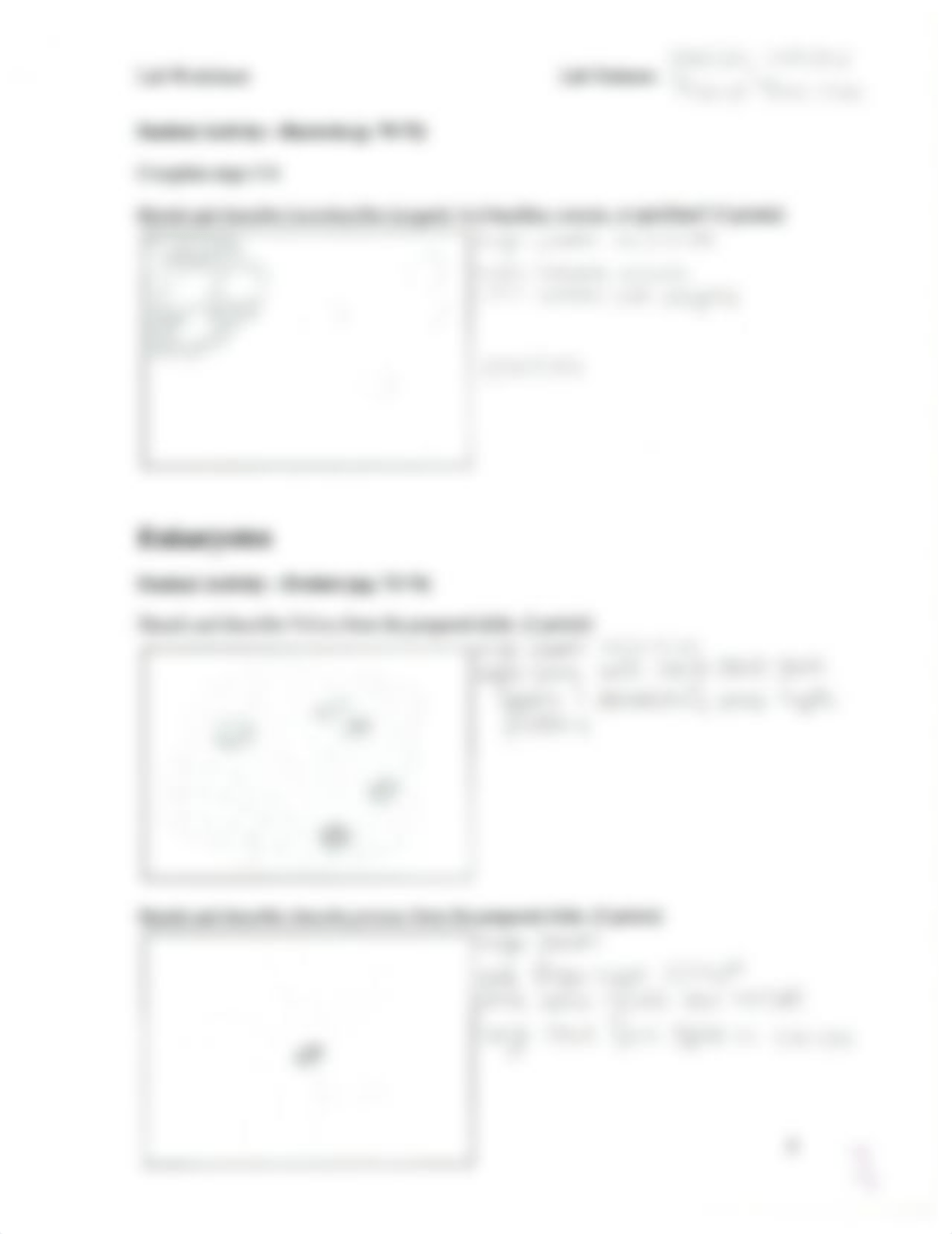 Microbiology Worksheet_dazxldu4nkd_page2