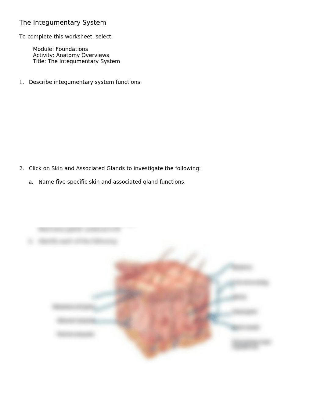 chapter 5 integumentary system .doc_db04aos7tw7_page1