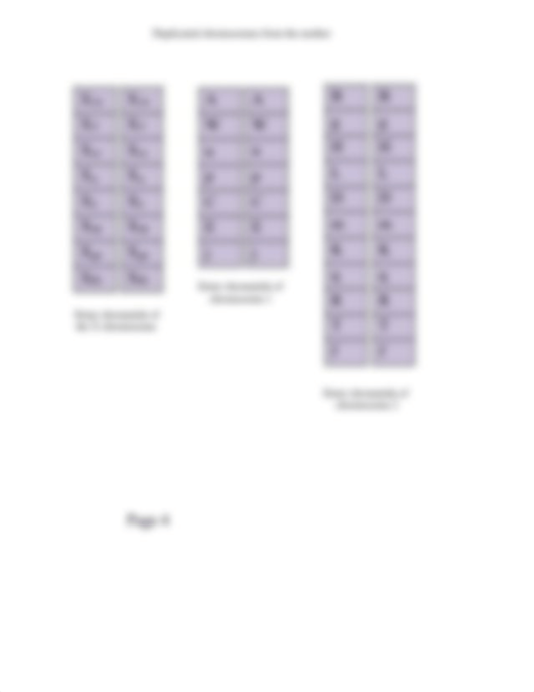 08 lab Chromoseratops chromosome sheet.pdf_db053jkfasr_page4