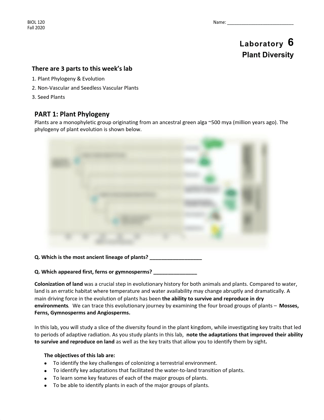 Lab 8-Plant Diversity Bio 120 online 2020 .pdf_db0fzke1iny_page1