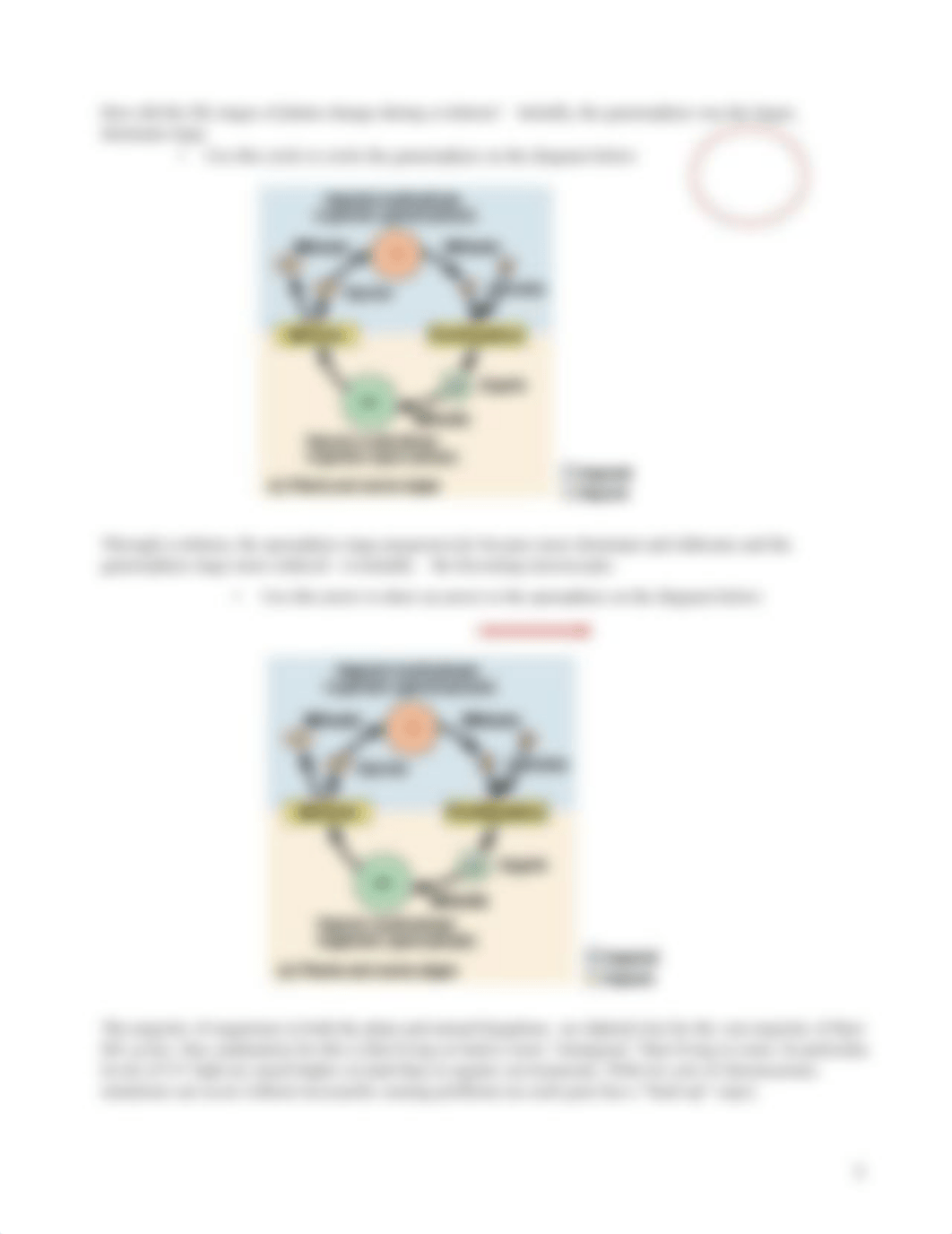 Lab 8-Plant Diversity Bio 120 online 2020 .pdf_db0fzke1iny_page3