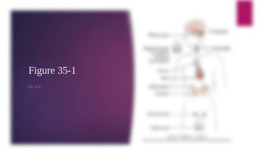 Chapter 36-adrenal glands.pptx_db0o7vltb9g_page3