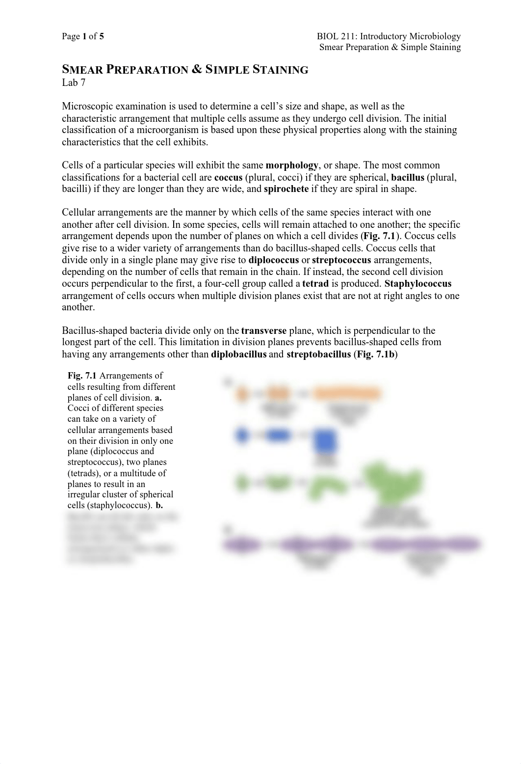 Lab7_SmearPrep_SimpleStain_SP17 micro.pdf_db0poitt268_page1