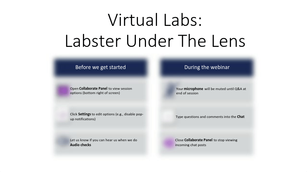 Labster Under The Lens (1).pdf_db0pwzpn28h_page1