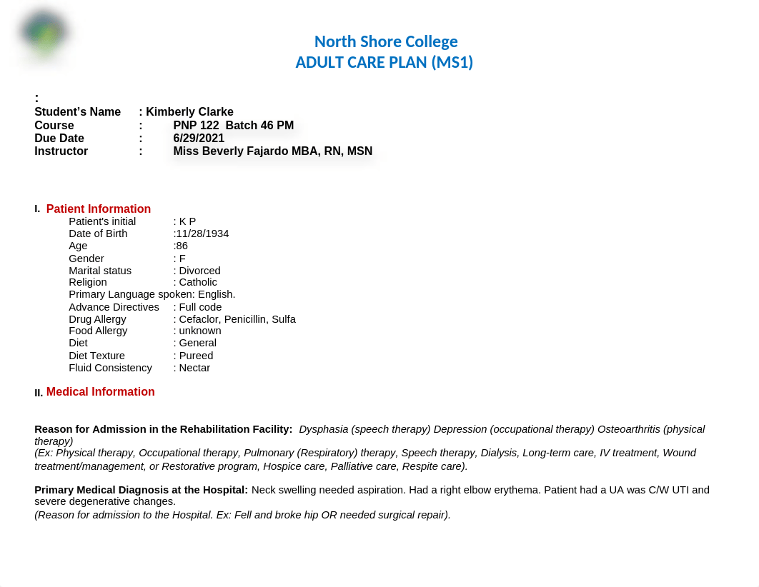 Adult Care Plan - PNP 122 (MS1) PM (1) (1).docx_db0twbqhep5_page1