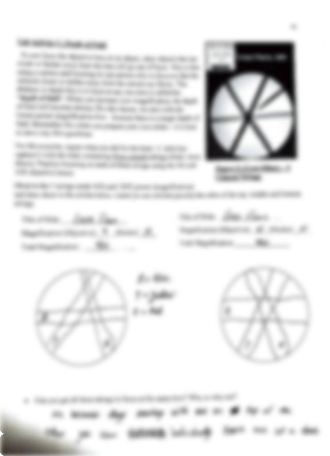 BIOL 003 Lab#3.pdf_db141kp5nsz_page3