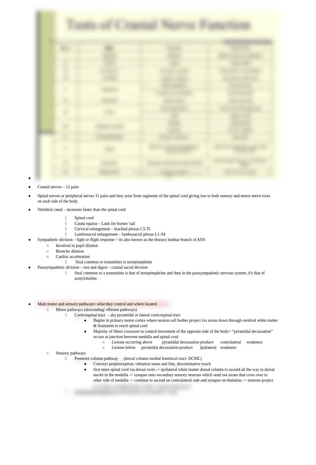 Neuro Exam 1 SG.docx_db14anpm71l_page2