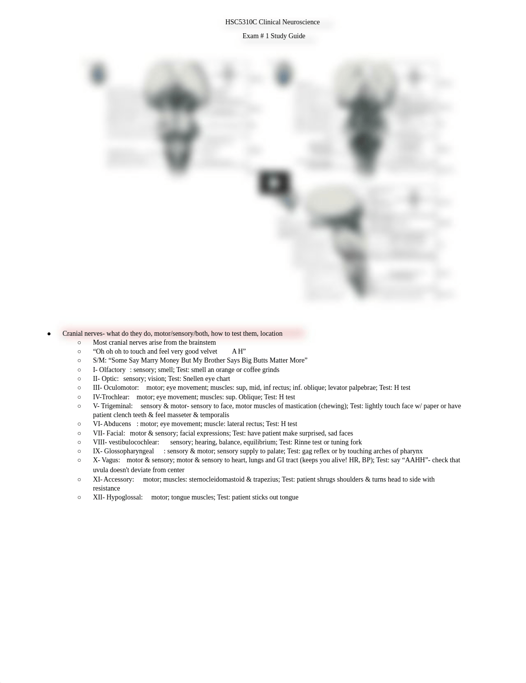 Neuro Exam 1 SG.docx_db14anpm71l_page1