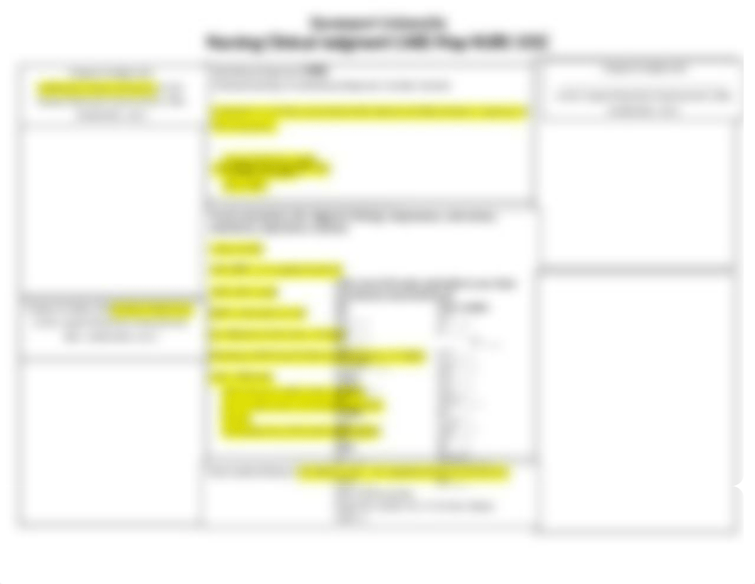 Clinical Judgment CARE Map example.docx_db18dpa4yoq_page1