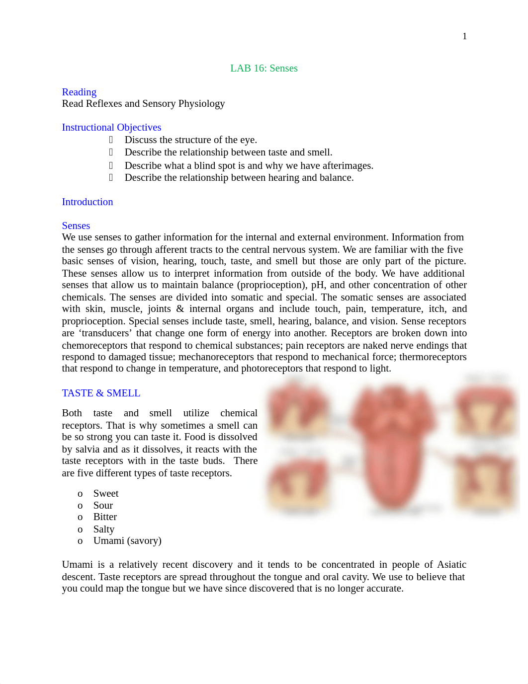 LAB 16 Assignment.pdf_db1lmforaki_page1