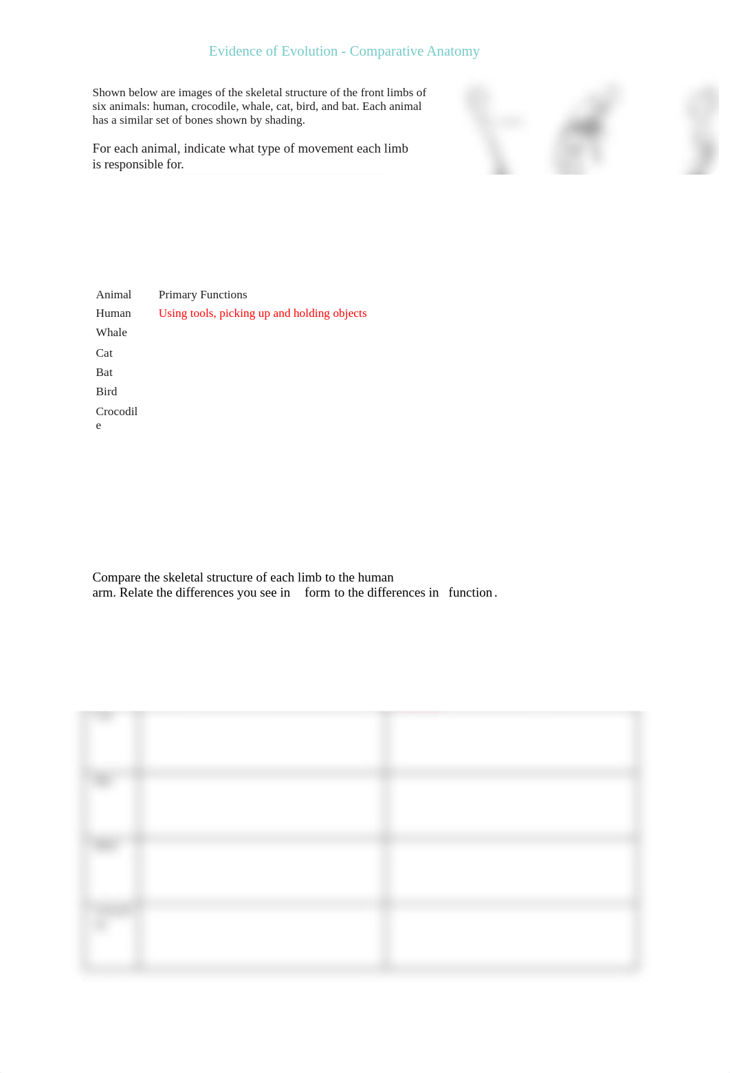 LAURA CURRY - Evidence of Evolution - Comparative Anatomy.docx_db1tpojq6tq_page1