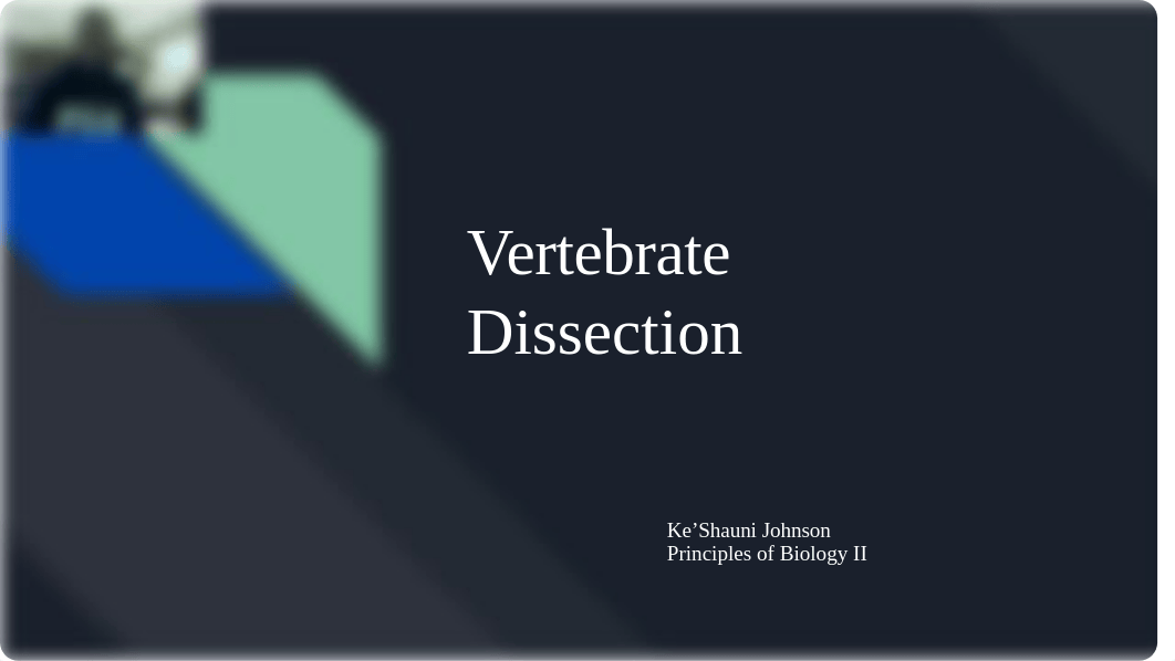 Vertebrate Dissection.pptx_db20xs0uotv_page1