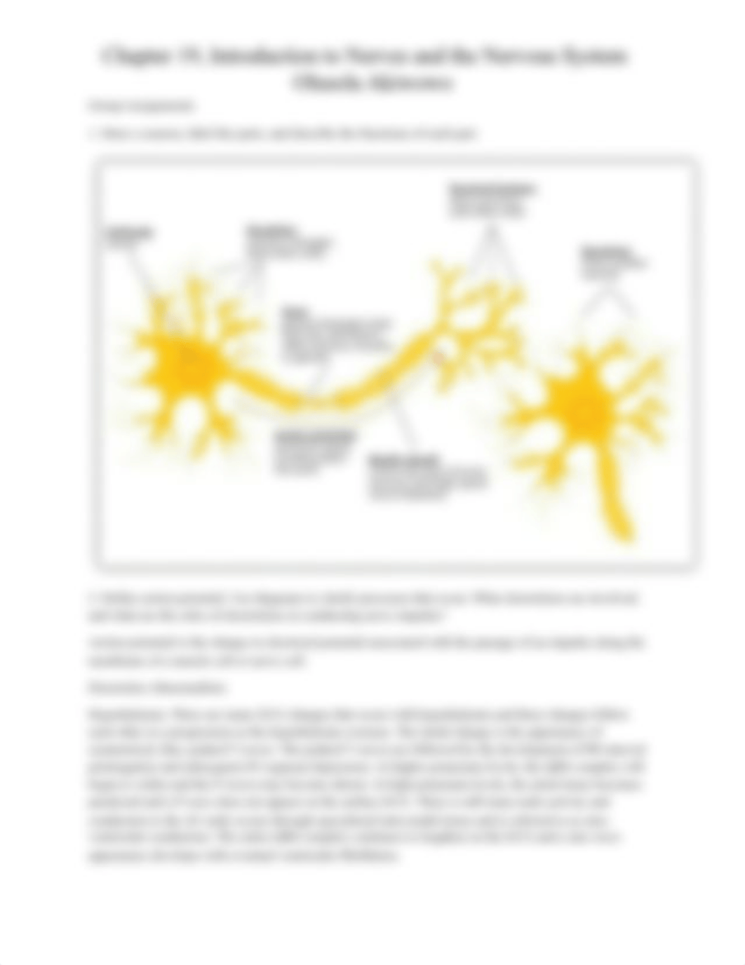 Chapter 19 Introduction to Nerves and the Nervous System_db248v7fx09_page3