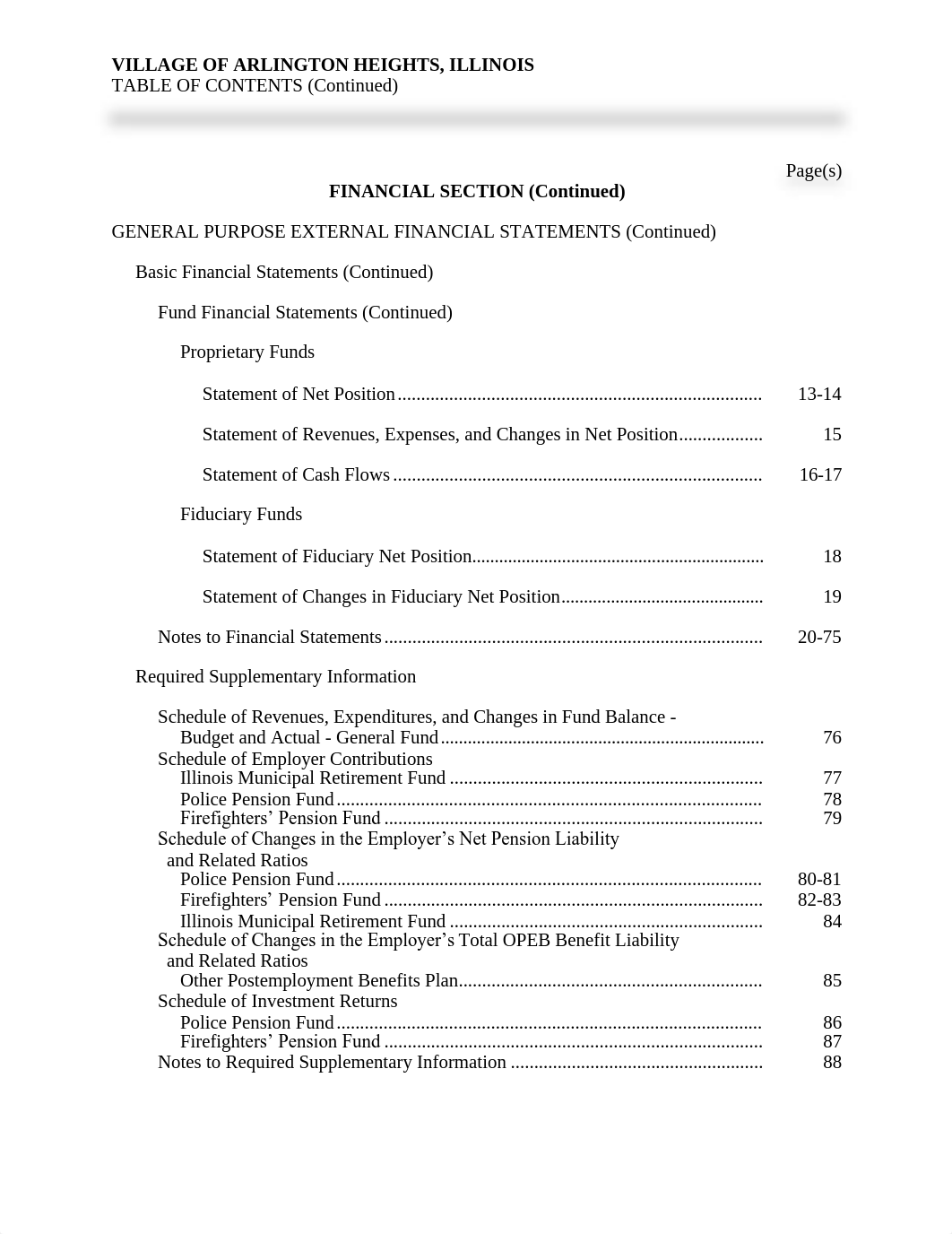 480 and 580 2020 CAFR for the Village of Arlington Heights.pdf_db24xw28py9_page5