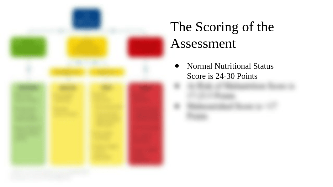 Mini-Nutritional Assessment (1).pptx_db2bwc857ot_page4