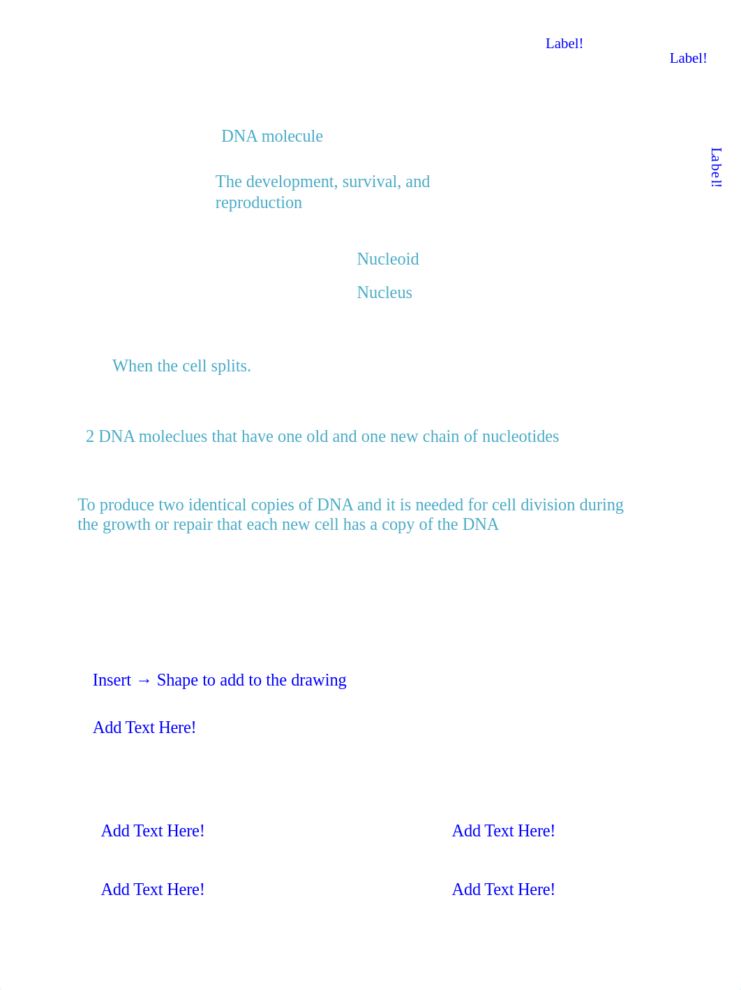 Practice DNA structure and Replication---online version (1).pptx_db2mx5f94cc_page1