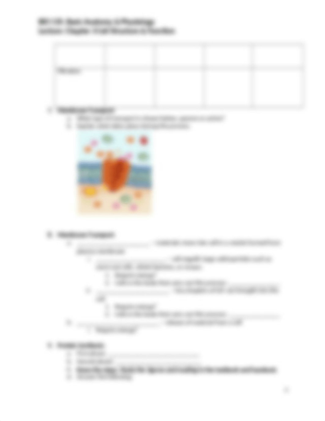 B135Z  Ch. 3 notes(1).docx_db2vq6e9mb2_page3