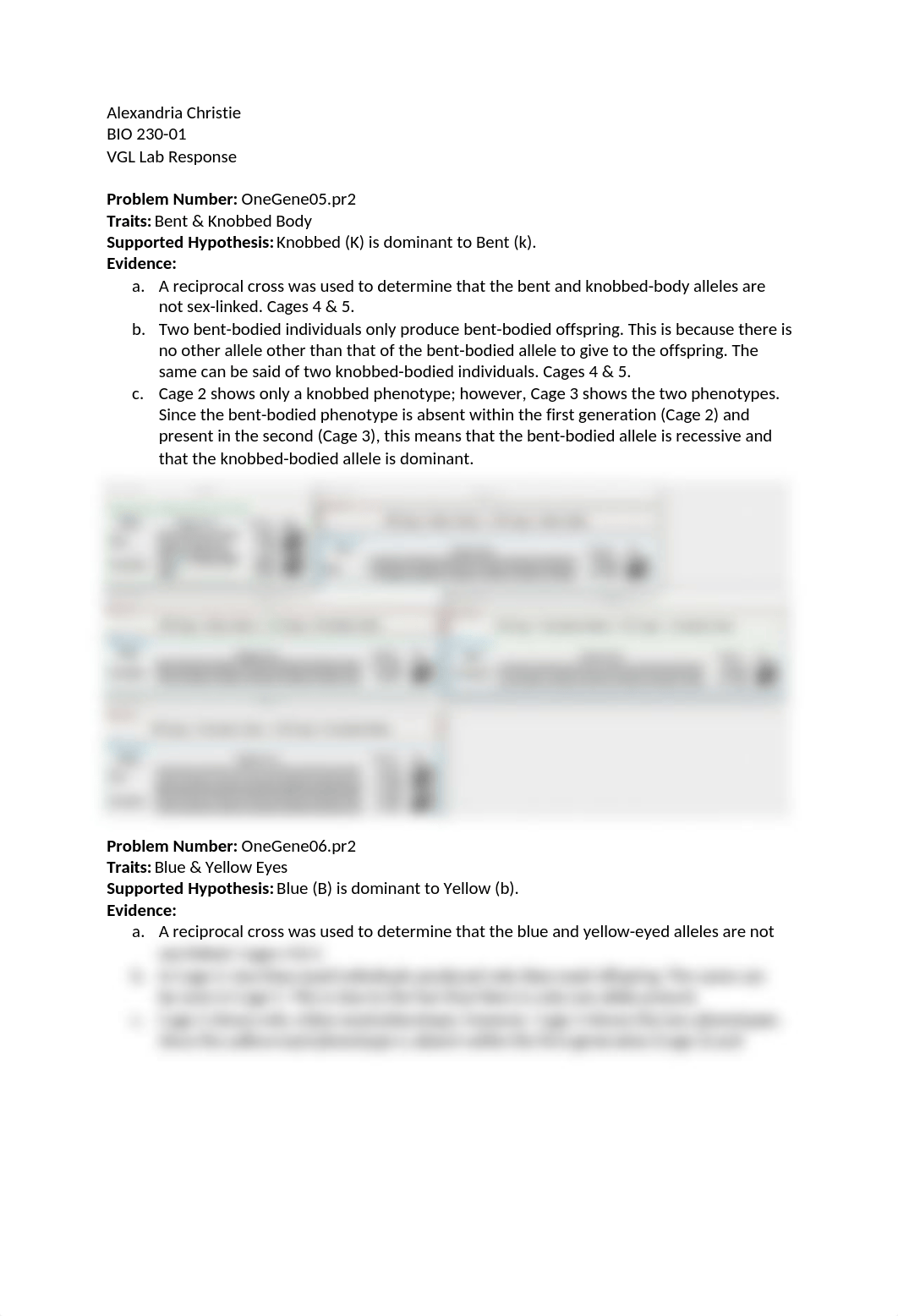 VGL Lab Response.docx_db3d5dwoqgi_page1