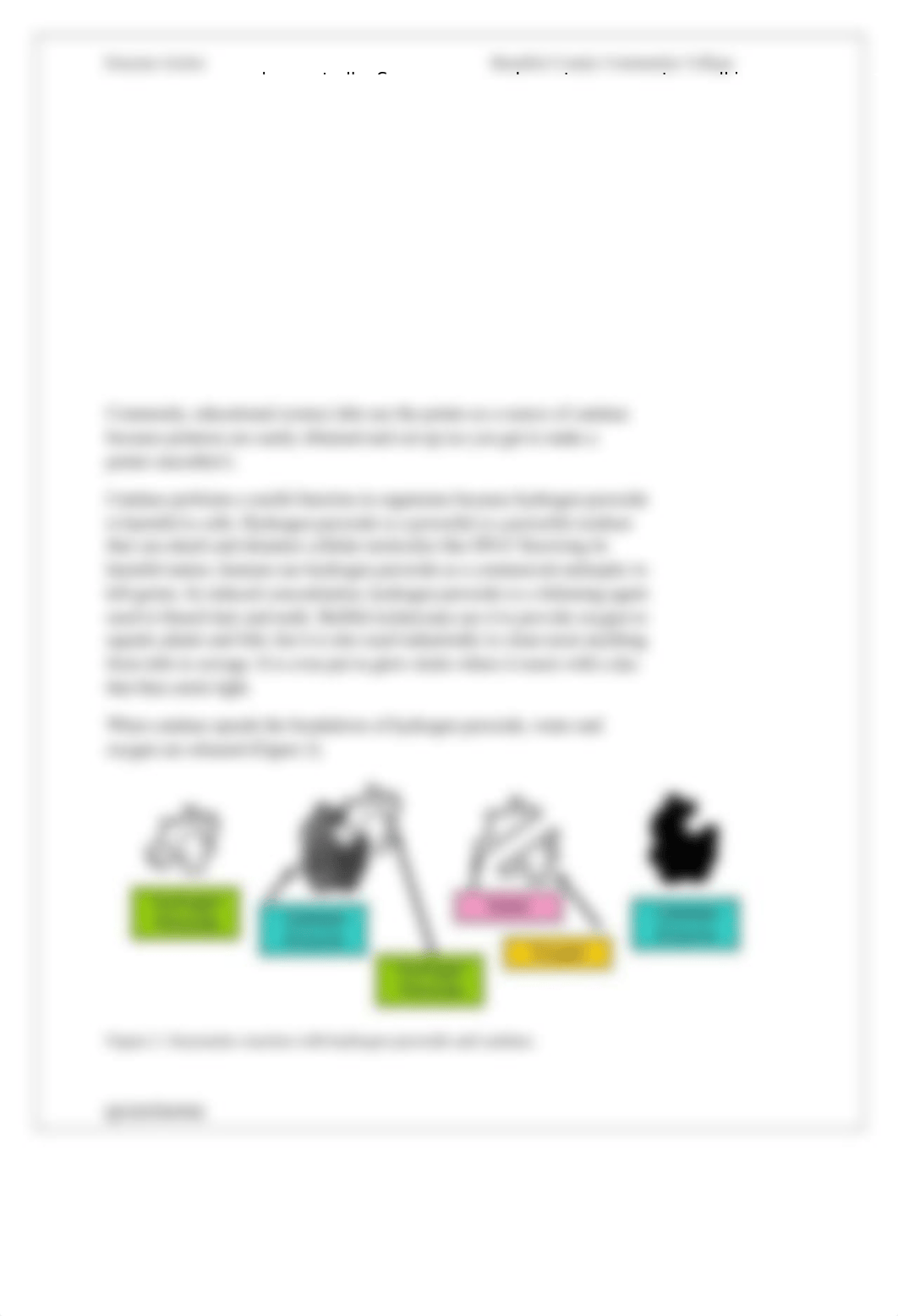 Lab Handout, Enzyme Action [Online Version].docx_db3fogl9xq8_page2