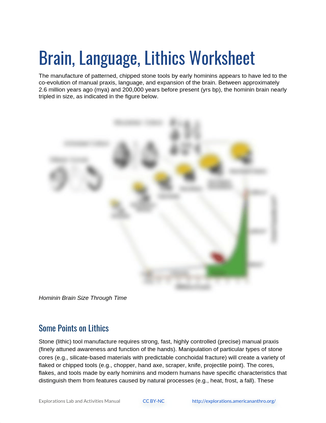 11.1 Brain Language Lithics (1).docx_db3j40ie5fl_page1