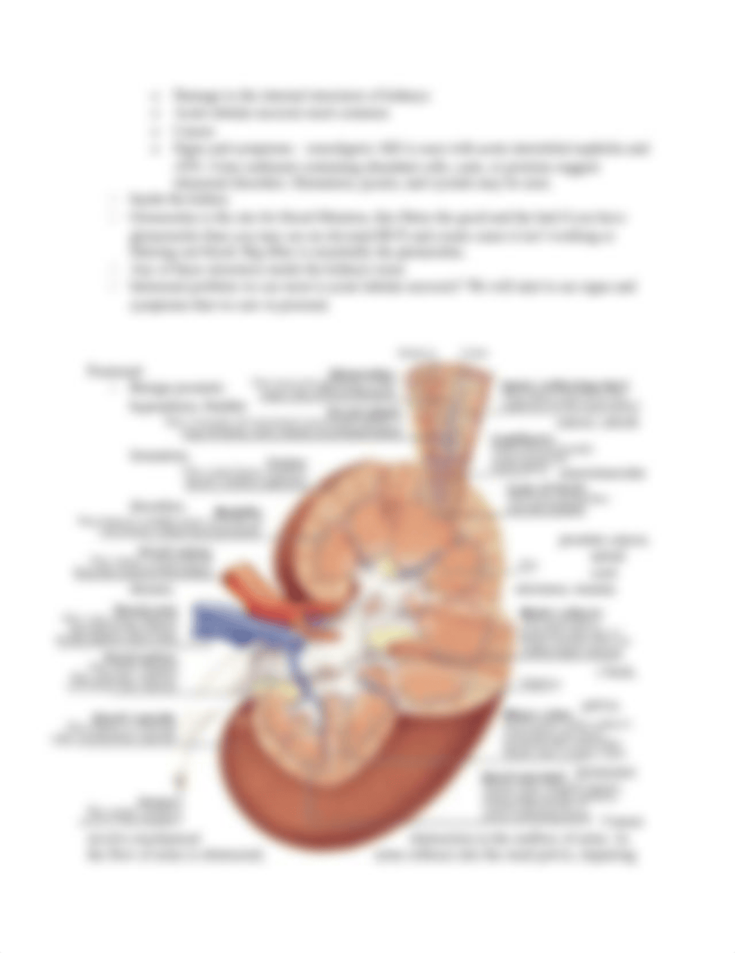 renal.docx_db3mmpl9jdy_page3