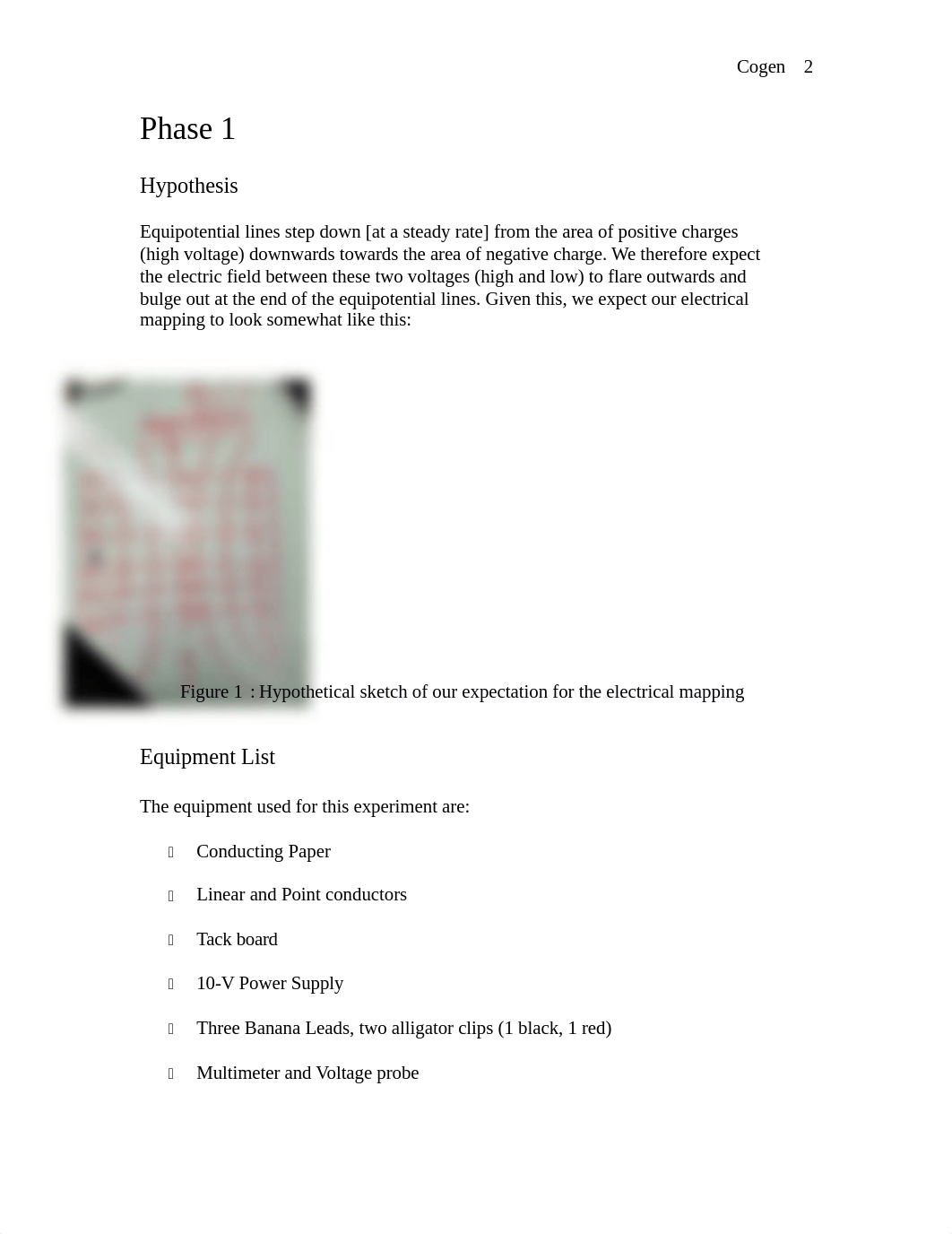 [RD] Electric Field Mapping Lab #1.docx_db3ngghr2j5_page2