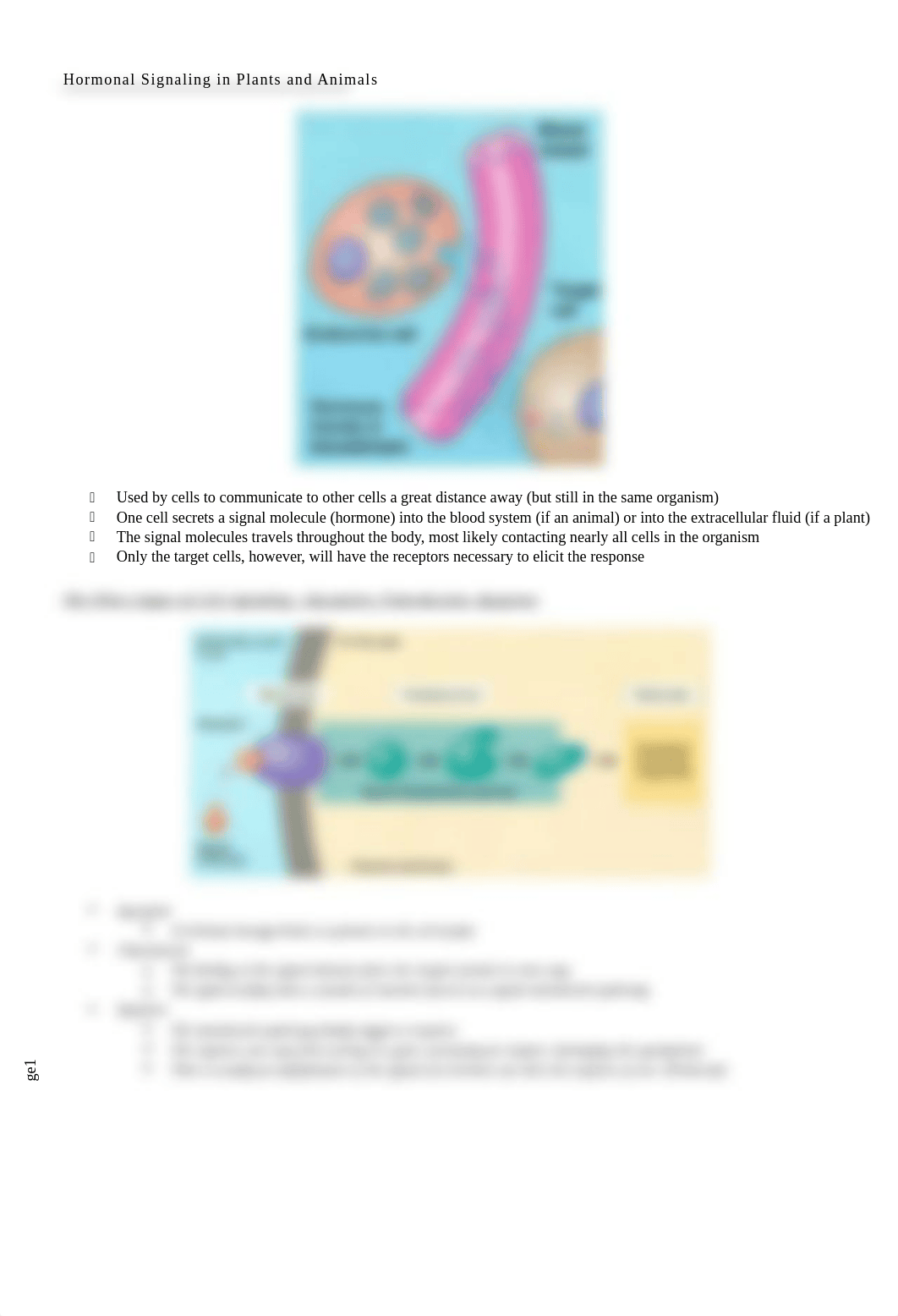 Cellular Communication Notes_db3t0915i80_page2