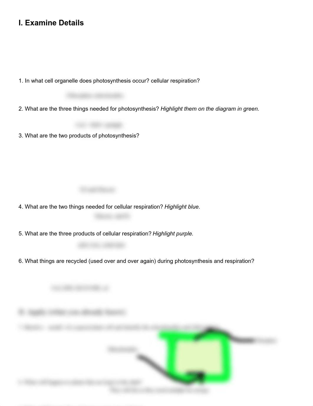 Kami Export - Landon Sartor - 2020 Photosynthesis and Respiration Model.pdf_db3vcgfe6wc_page2