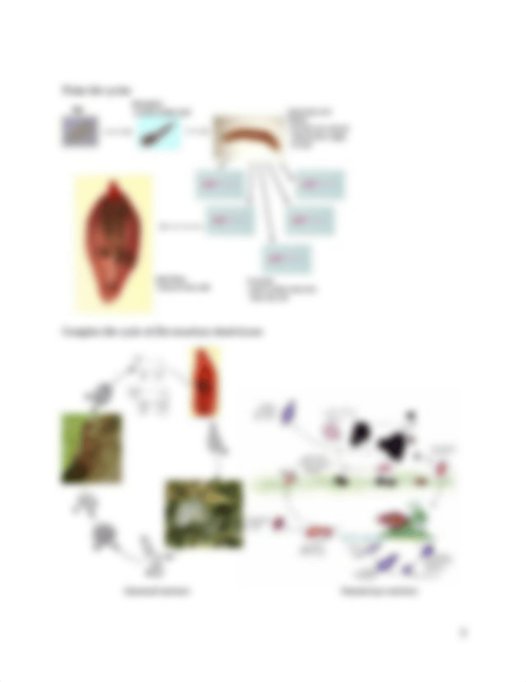 Lab 6.docx_db3yai1pywg_page3