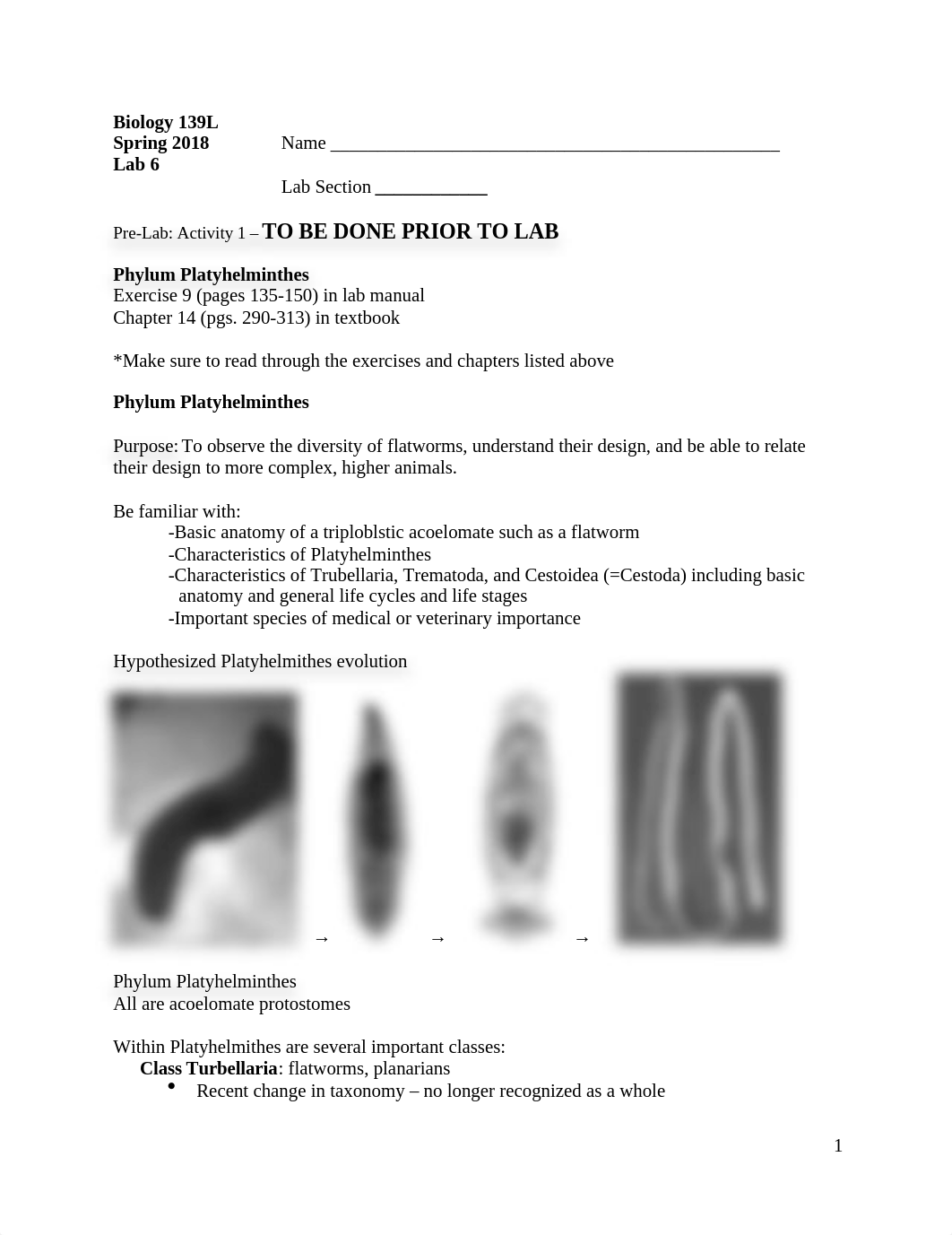 Lab 6.docx_db3yai1pywg_page1