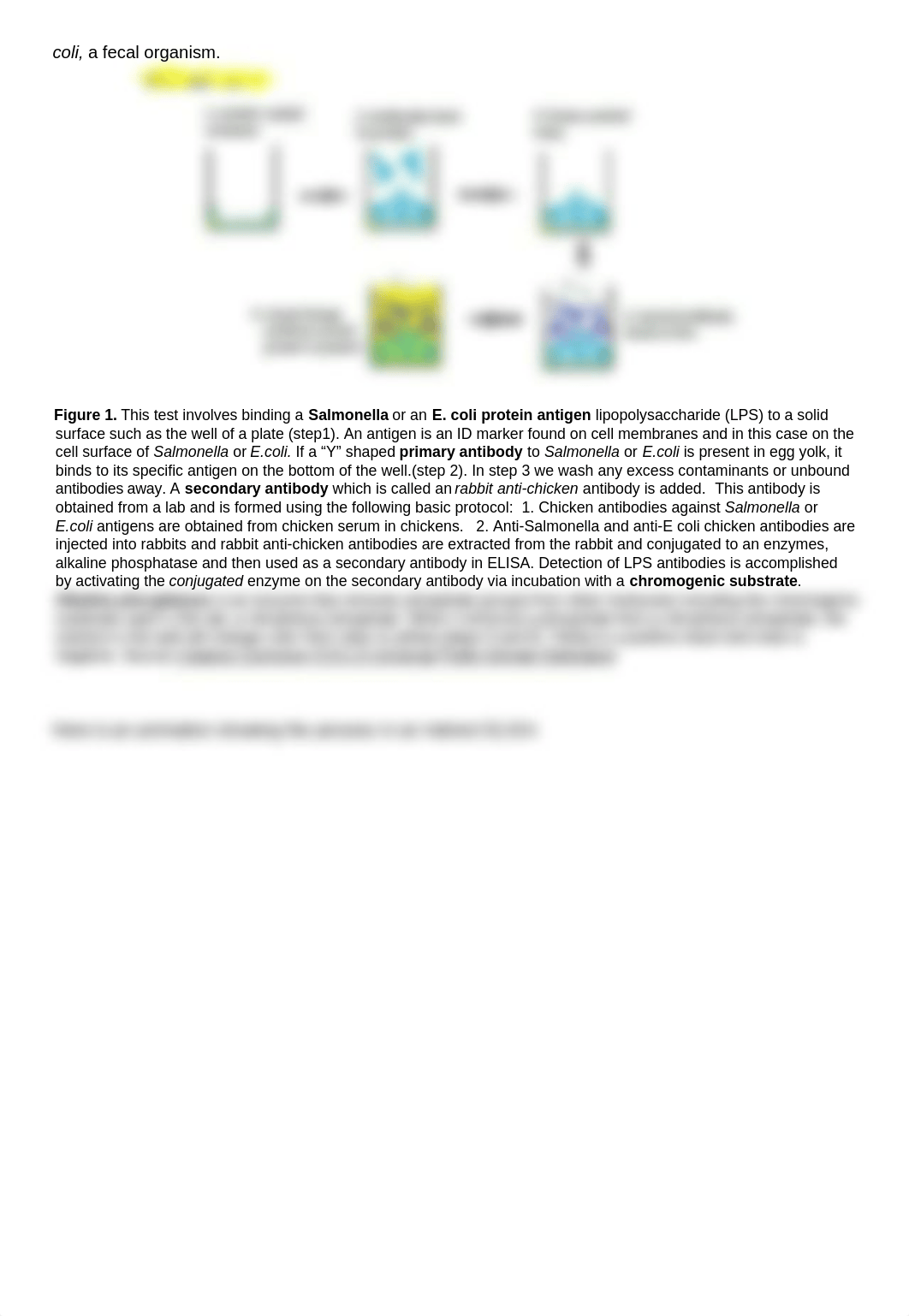 19.INDIRECT ELISA chicken eggs.docx_db439nffnol_page2