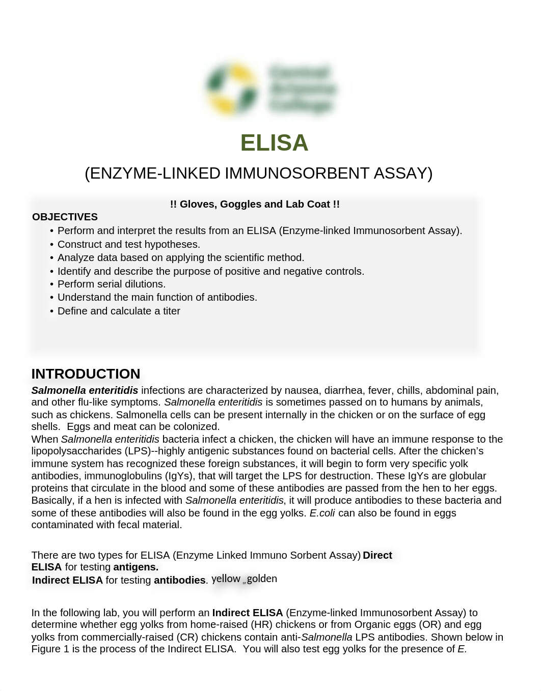 19.INDIRECT ELISA chicken eggs.docx_db439nffnol_page1