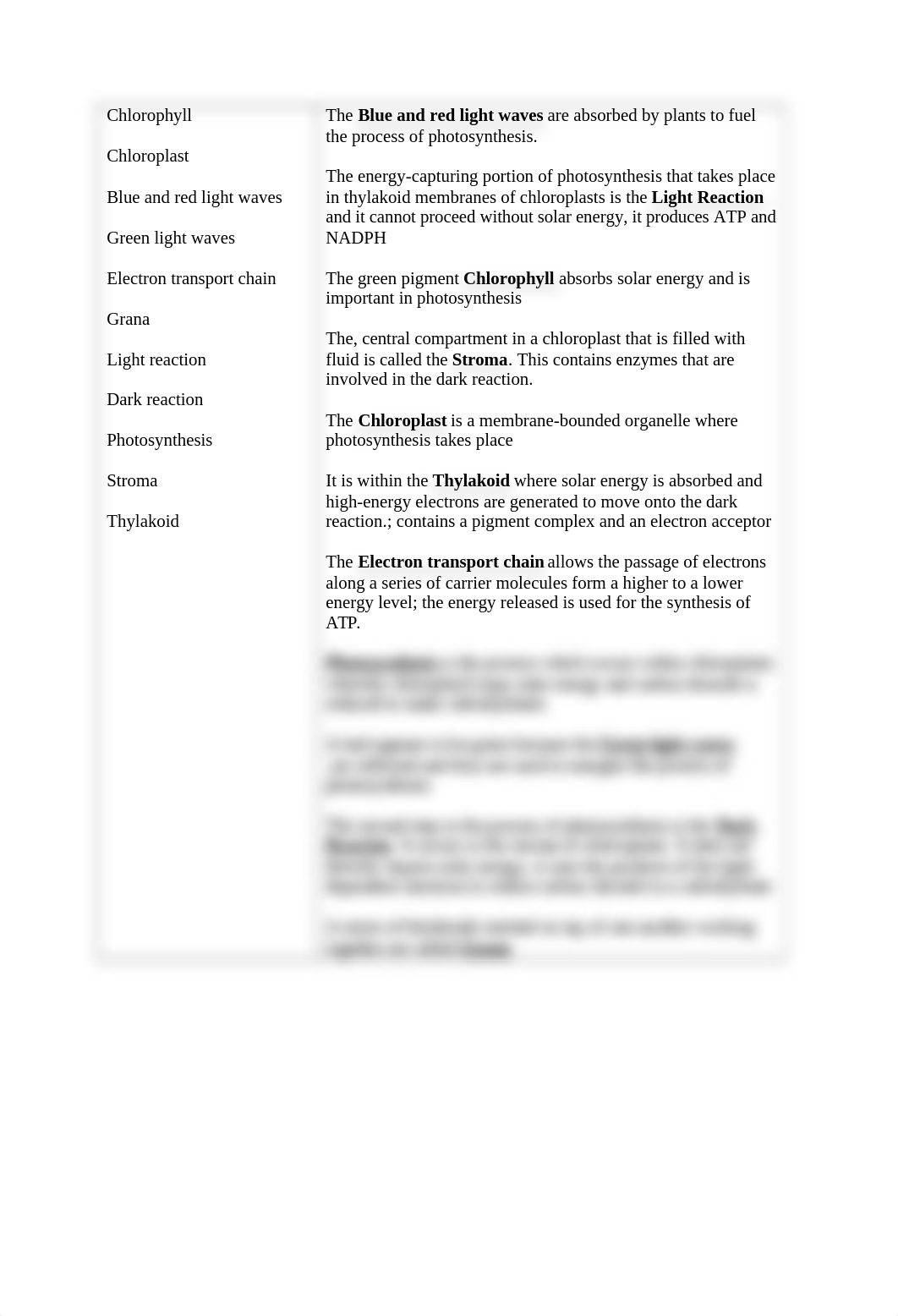 Photosynthesis Worksheet 1_db45m0g1apj_page1