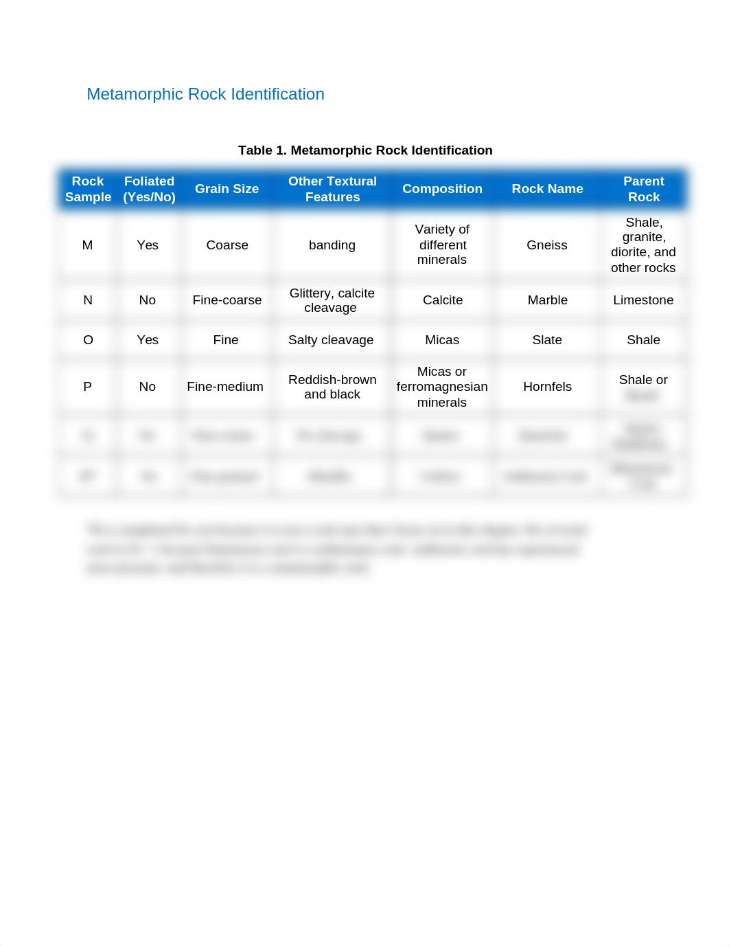 Metamorphic Rock Data Sheet .docx_db4dvm3a81h_page1