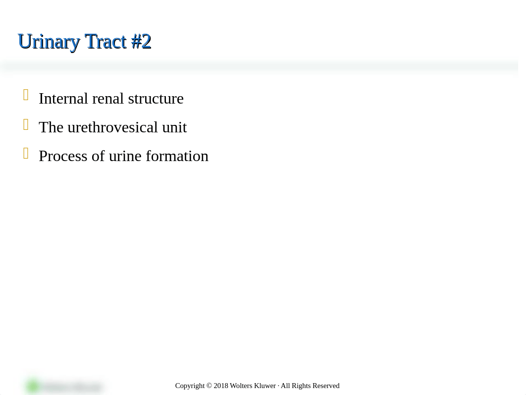 PPT_Chapter_57 (1).pptx_db4iqkdnvw3_page5