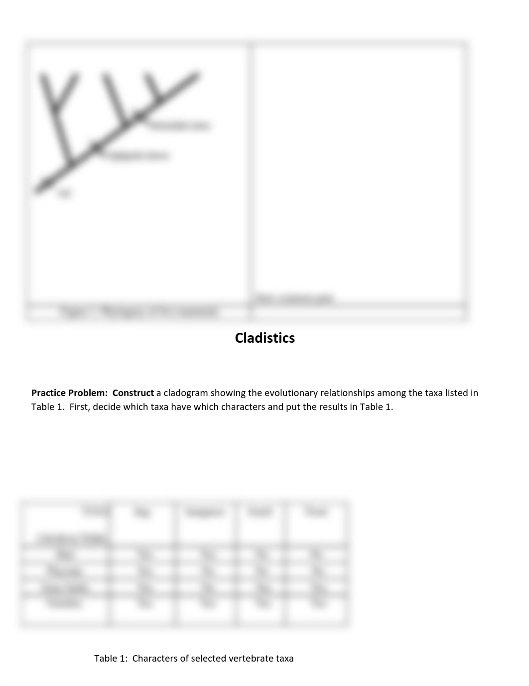 Cladistics Lab (1).pdf_db4kh22i8l6_page1