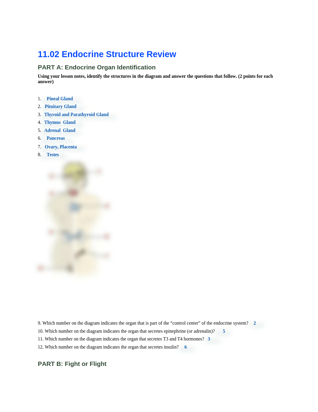 Human A&P - Lesson 11.02_ Endocrine -fixed version-  .docx_db4mv9v7myi_page1