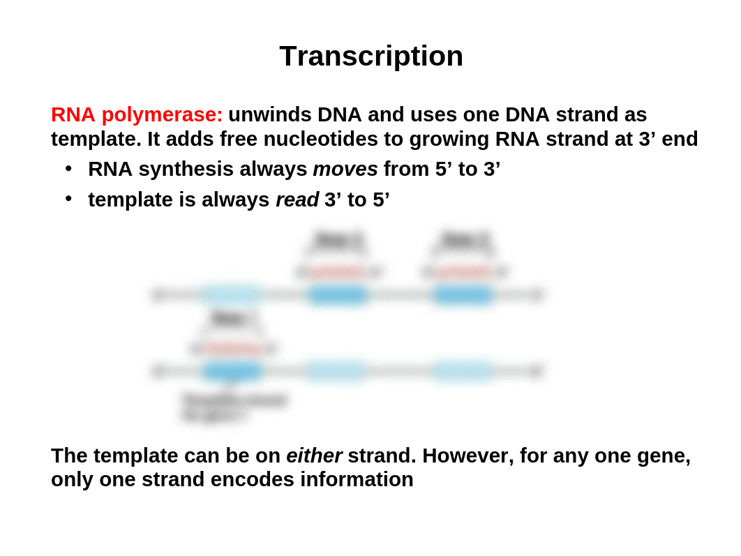 BY214 Exam-2 Review_db4oo4xh6pa_page3