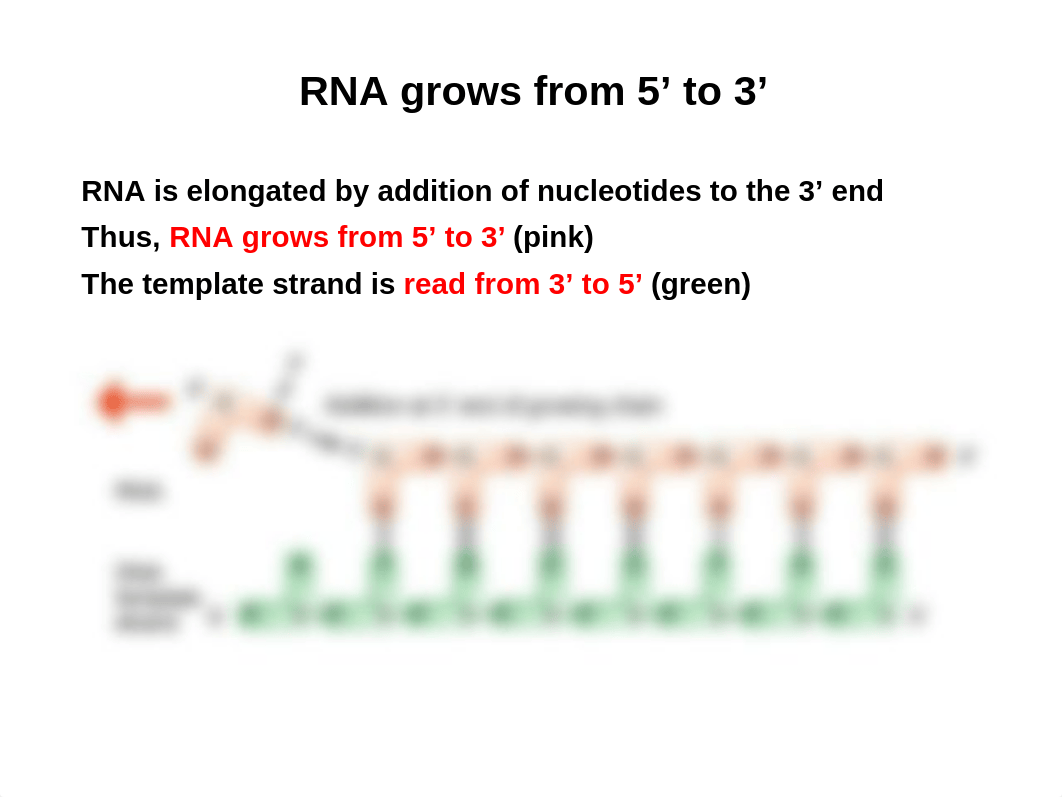 BY214 Exam-2 Review_db4oo4xh6pa_page5