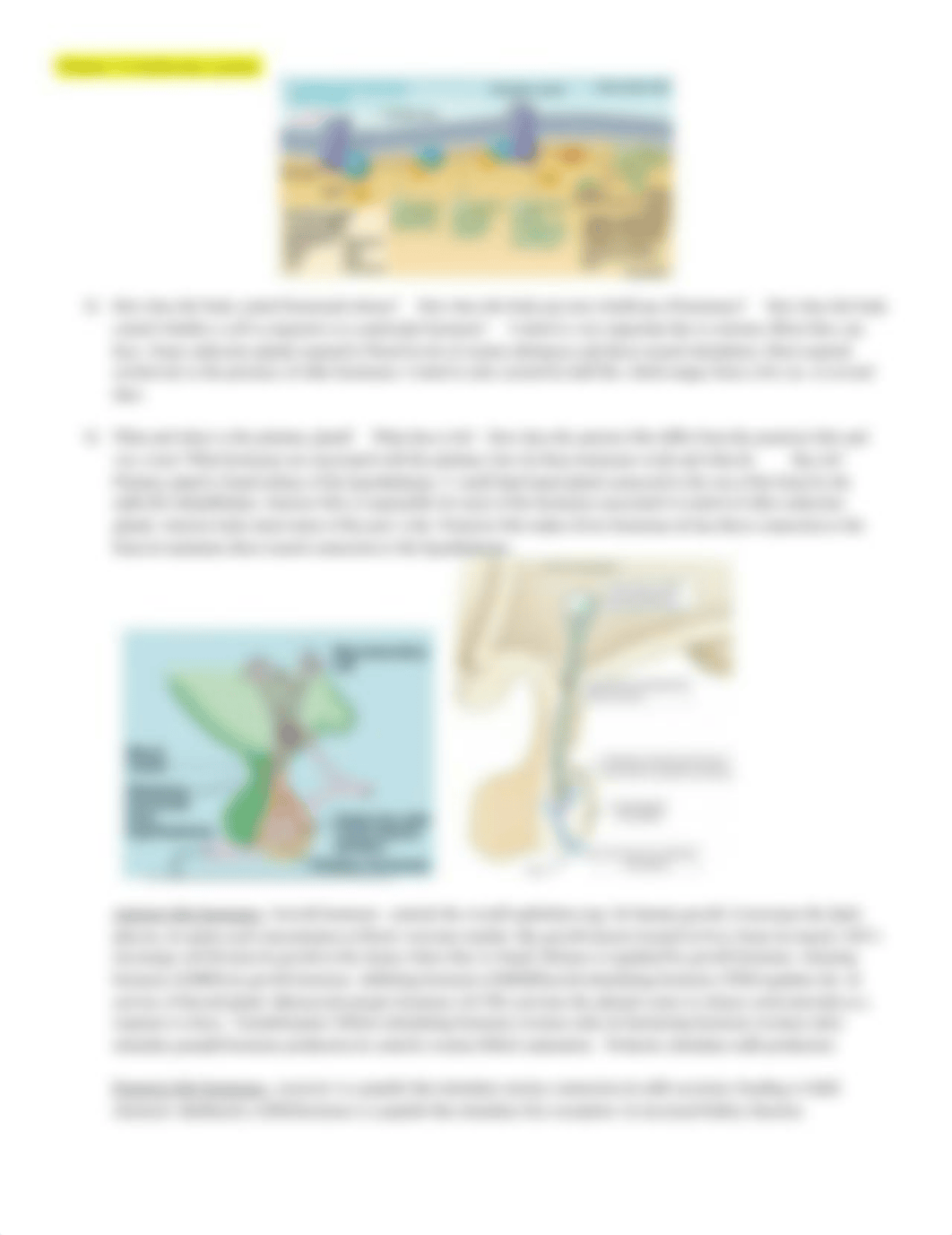 Chapter 16 Study Questions- Endocrine.docx_db4pmw8vbeb_page2