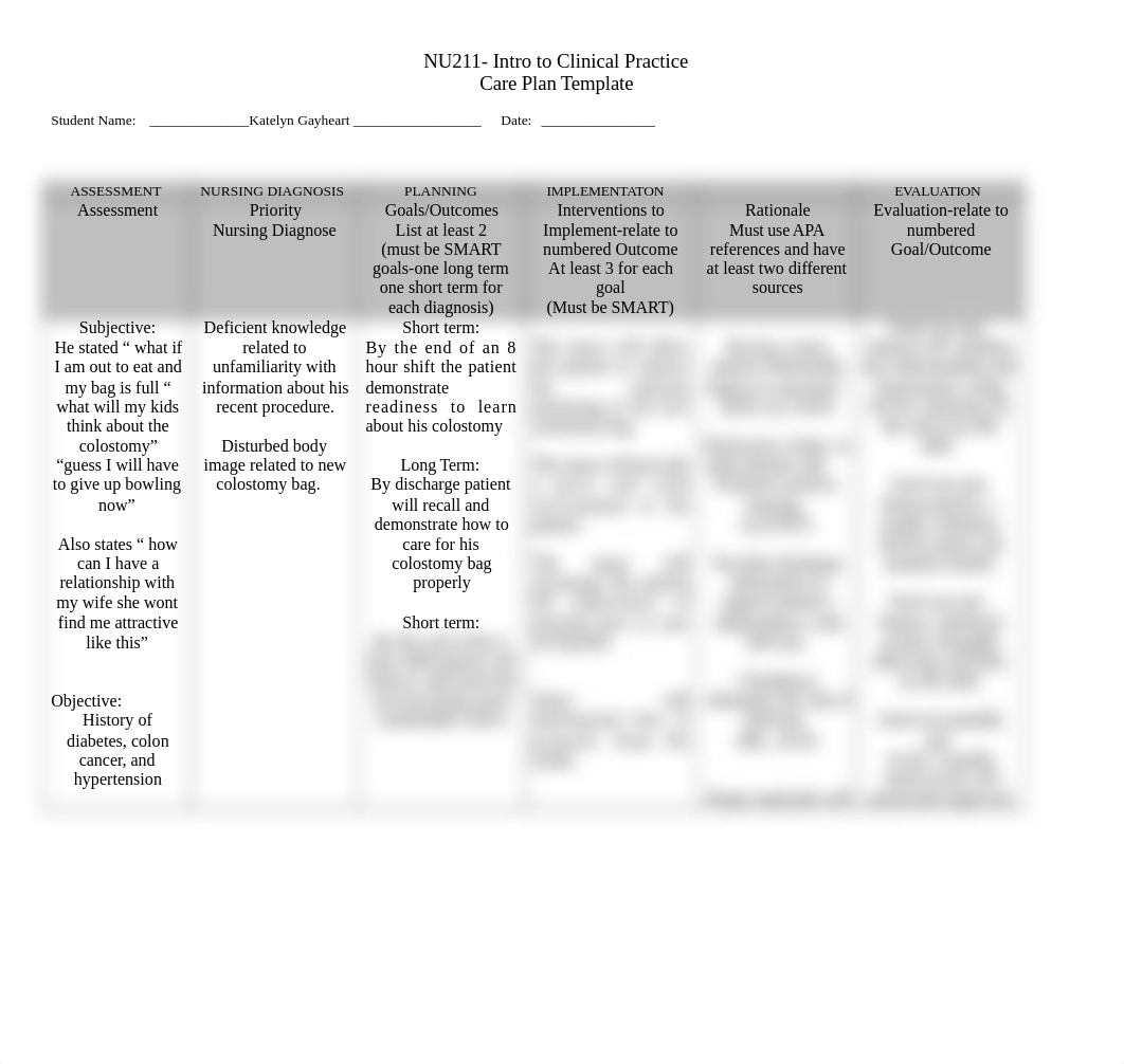 care plan 2.docx_db4swta37e3_page1