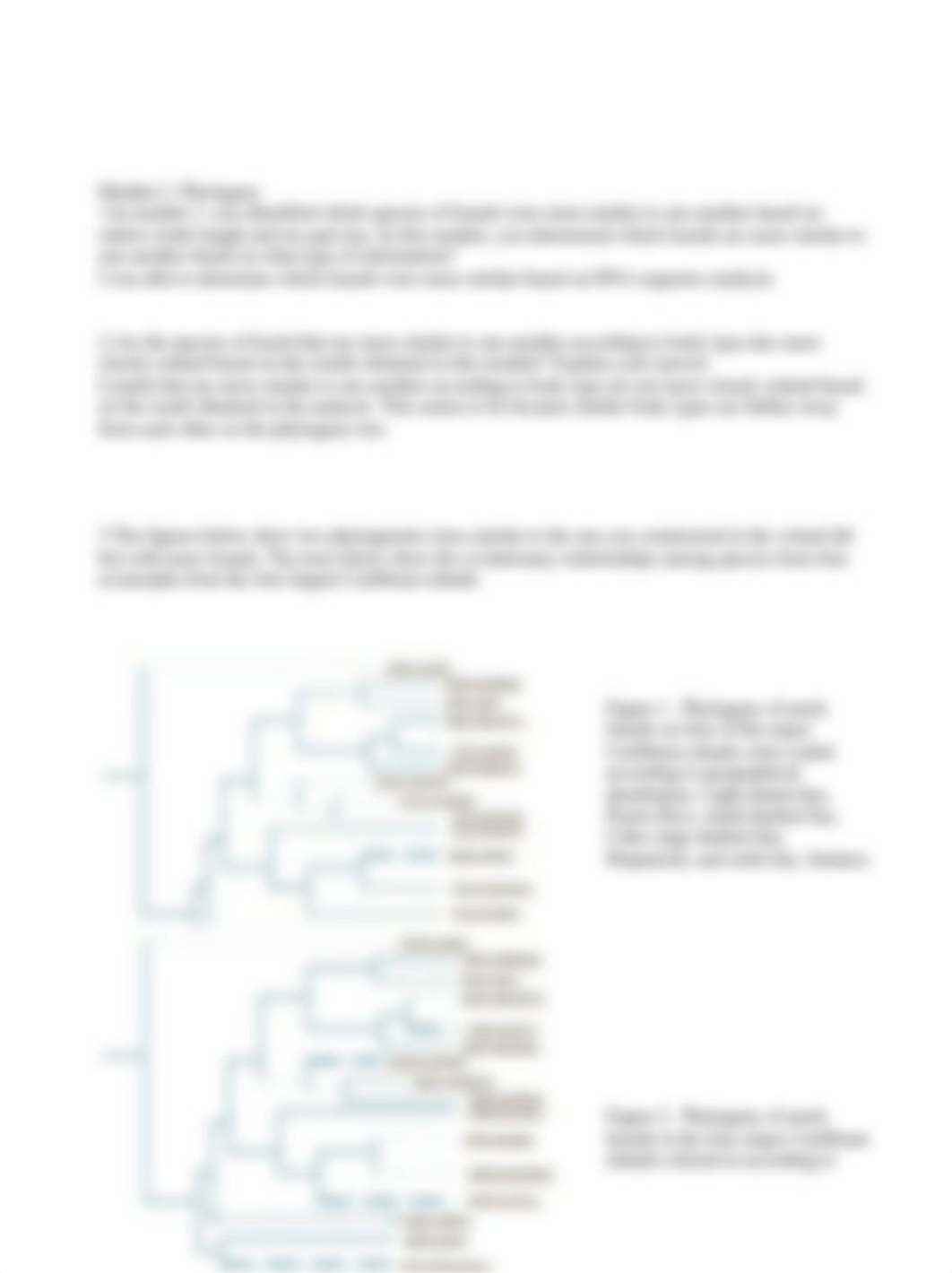 Lizard Evolution Virtual Lab.docx_db4u8mzuofe_page2