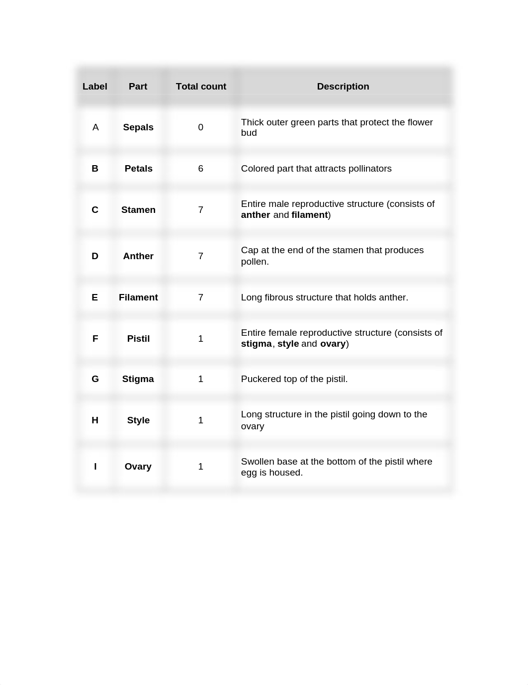 Lab 5 .docx_db4uillojvv_page3