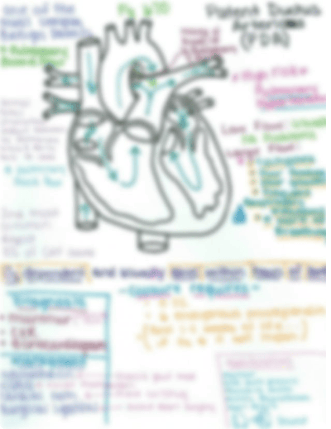 patent ductus arteriosus_db4xsi9tpbq_page1